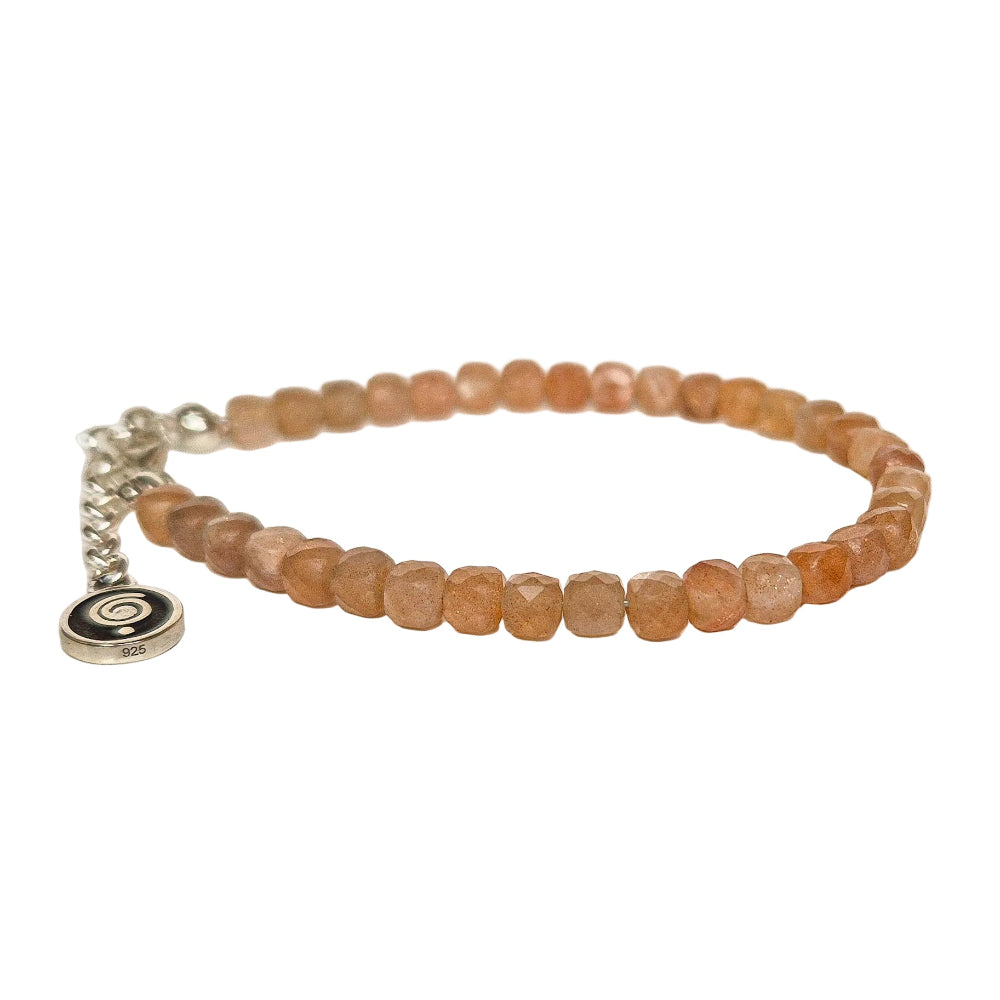 Bracelet with brown beads and a silver charm on a light gray background